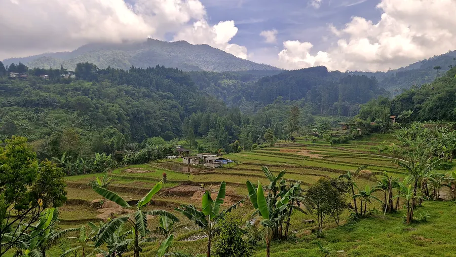 Tempat healing Sukabumi – Lembah Manglid