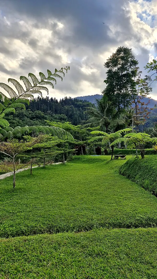 Taman dan lapangan rumput