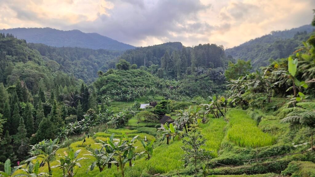 7 Alasan Mengapa Sewa Villa Sukabumi di Lembah Manglid Jadi Pilihan Terbaik untuk Liburan Nyaman dan Seru!