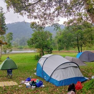 taman-nasional-gunung-gede-pangrango_43